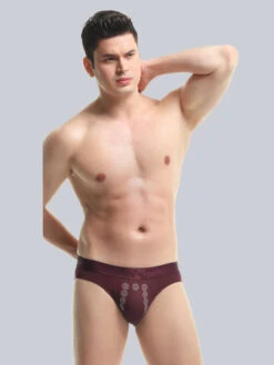 Anion Pit Massage Breathable Briefs Underwear(Anion Pit Massage Breathable Briefs Underwear Mrsaker) 33 Anion Pit Massage Breathable Briefs Underwear(Anion Pit Massage Breathable Briefs Underwear Mrsaker) -Mr Saker 1 9 abf3c198 1d20 483a a345 7c54c61c0fb3