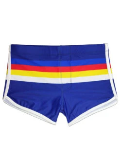 Men's Rainbow Striped Swimming Trunks(Mens Rainbow Striped Swimming Trunks) 27 Men's Rainbow Striped Swimming Trunks(Mens Rainbow Striped Swimming Trunks) -Mr Saker 1 9 ca9c4ef1 a6a7 4f4f 9d86 fa435793f66b
