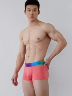 2 Pack Men's Cotton Sexy Antibacterial Rainbow Waistband Trunks(2 Pack Mens Cotton Sexy Antibacterial Rainbow Trunks)