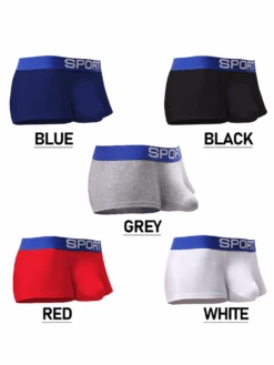 3 Pack Mens Sculpt Bulge Shape Support Pouch Underwear(3 Pack Mens Sculpt Bulge Shape Support Pouch Underwear) 36 3 Pack Mens Sculpt Bulge Shape Support Pouch Underwear(3 Pack Mens Sculpt Bulge Shape Support Pouch Underwear) -Mr Saker 21 0d7be58c 9a52 4a52 ac61 e59058e49c16