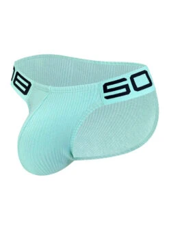 2 Pack Men’s Sexy Threaded Fabric Bikinis(2 Pack Men S Sexy Threaded Fabric Bikinis)