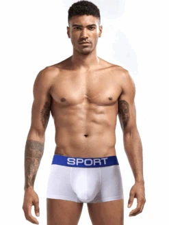 3 Pack Mens Sculpt Bulge Shape Support Pouch Underwear(3 Pack Mens Sculpt Bulge Shape Support Pouch Underwear)