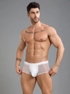 2 Pack Men's Ultra-Thin Breathable Antibacterial Crotch Briefs(2 Pack Mens Ultra Thin Ice Silk Breathable Quick Dry Antibacterial Crotch Briefs)