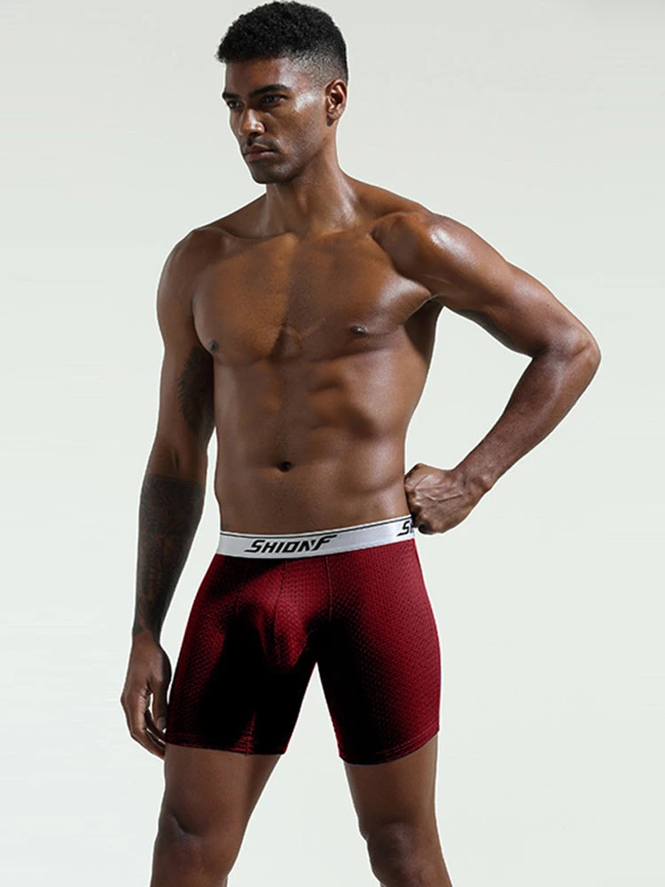 2 Pack Men’s Mesh Separate Pouch Boxers Briefs(2 Pack Men S Mesh Separate Pouch Boxers Briefs Mrsaker) 8 2 Pack Men’s Mesh Separate Pouch Boxers Briefs(2 Pack Men S Mesh Separate Pouch Boxers Briefs Mrsaker) - Image 8