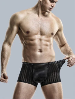 2 Pack Silk Striped Men's Super Thin Underwear(2 Pack Silk Striped Mens Super Thin Underwear) 27 2 Pack Silk Striped Men's Super Thin Underwear(2 Pack Silk Striped Mens Super Thin Underwear) -Mr Saker 3235486903e615b61b3ebca9d1939cb7 ba570fa1 34ac 4b98 ae65 8e4afde77798