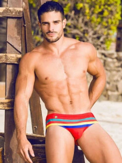 Mens Quick-drying Stripes Swim Briefs(Mens Quick Drying Stripes Swim Briefs) -Mr Saker 3f70d307e8ff0376d785fb706ef53eb8