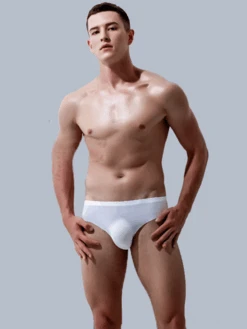 4 Pack Ball Support Seamless Men's Underwear(Mens Ulta Thin Ice Silk Seamless Briefs)