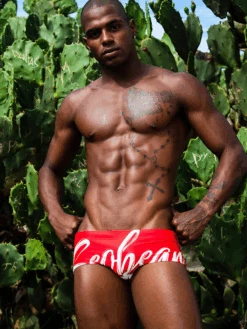 Men’s Sexy Low-rise Swim Trunks(Men S Sexy Low Rise Swim Trunks)