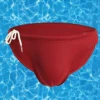 Men's Sexy Low-rise Swim Briefs With Drawstring(Mens Sexy Low Rise Swim Briefs With Drawstring)