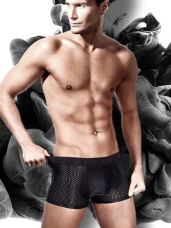 Men's Mesh Thin Ice Silk High-Stretch Comfy Waistband Trunks(Mens 3pcs Mesh Thin Ice Silk Underwear Mrsaker) 23 Men's Mesh Thin Ice Silk High-Stretch Comfy Waistband Trunks(Mens 3pcs Mesh Thin Ice Silk Underwear Mrsaker) -Mr Saker 4 23 781cd311 a75c 4e39 946c fac77a1f03ce