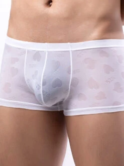 3- Pack Men’s Sexy Heart Mesh Trunks(3 Pack Men S Sexy Heart Mesh Trunks) 34 3- Pack Men’s Sexy Heart Mesh Trunks(3 Pack Men S Sexy Heart Mesh Trunks) -Mr Saker 5292d775cc35be005874f454d724fc0c