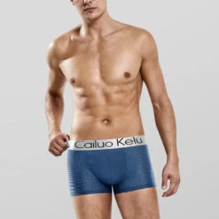 3 Pcs Men's Mesh Breathable Ice Silk Boxer Briefs(3 Pcs Mens Mesh Breathable Ice Silk Boxer Briefs) 27 3 Pcs Men's Mesh Breathable Ice Silk Boxer Briefs(3 Pcs Mens Mesh Breathable Ice Silk Boxer Briefs) -Mr Saker 69583350dee96ef2bc3a0b42f9f58e0b