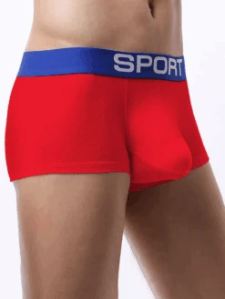 3 Pack Mens Sculpt Bulge Shape Support Pouch Underwear(3 Pack Mens Sculpt Bulge Shape Support Pouch Underwear) 25 3 Pack Mens Sculpt Bulge Shape Support Pouch Underwear(3 Pack Mens Sculpt Bulge Shape Support Pouch Underwear) -Mr Saker 6 38092905 829e 4515 aa9d c73ba8655b76