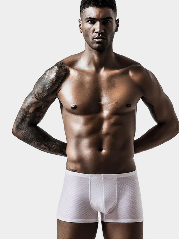 2 Pack Breathable Grid Ice Silk Men's Underwear(2 Pack Breathable Grid Ice Silk Mens Underwear) 2 2 Pack Breathable Grid Ice Silk Men's Underwear(2 Pack Breathable Grid Ice Silk Mens Underwear) - Image 2