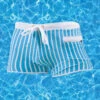 Mens Striped Quick Dry Lining Swim Trunks(Mens Striped Quick Dry Lining Swim Trunks)