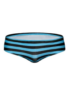 Mens Surfing Striped Swimming Briefs(Mens Surfing Striped Swimming Briefs) -Mr Saker 77d8775504dd4a80422678e8b94c21c5