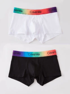2 Pack Men's Cotton Sexy Antibacterial Rainbow Waistband Trunks(2 Pack Mens Cotton Sexy Antibacterial Rainbow Trunks) 38 2 Pack Men's Cotton Sexy Antibacterial Rainbow Waistband Trunks(2 Pack Mens Cotton Sexy Antibacterial Rainbow Trunks) -Mr Saker 7e671c02551caadfbe32198b80cbd36a