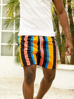 Men's Multicolor Stripe Leisure Swim Shorts(Mens Multicolor Stripe Leisure Swim Shorts) 20 Men's Multicolor Stripe Leisure Swim Shorts(Mens Multicolor Stripe Leisure Swim Shorts) -Mr Saker 7f84b53965e5f9c7a218d4848d066f68