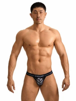 2 Pack Men's Sheer Mesh Low-Rise Breathable Briefs(2 Pack Mens Sheer Mesh Low Rise Breathable Briefs)