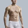 2 Pack Silk Striped Men's Super Thin Underwear(2 Pack Silk Striped Mens Super Thin Underwear)