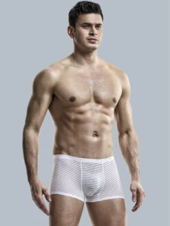 2 Pack Silk Striped Men's Super Thin Underwear(2 Pack Silk Striped Mens Super Thin Underwear)