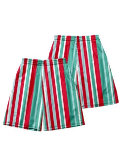 Men's Multicolor Stripe Leisure Swim Shorts(Mens Multicolor Stripe Leisure Swim Shorts) 30 Men's Multicolor Stripe Leisure Swim Shorts(Mens Multicolor Stripe Leisure Swim Shorts) -Mr Saker 8aeddf3d2d183ad33479778039741cf2