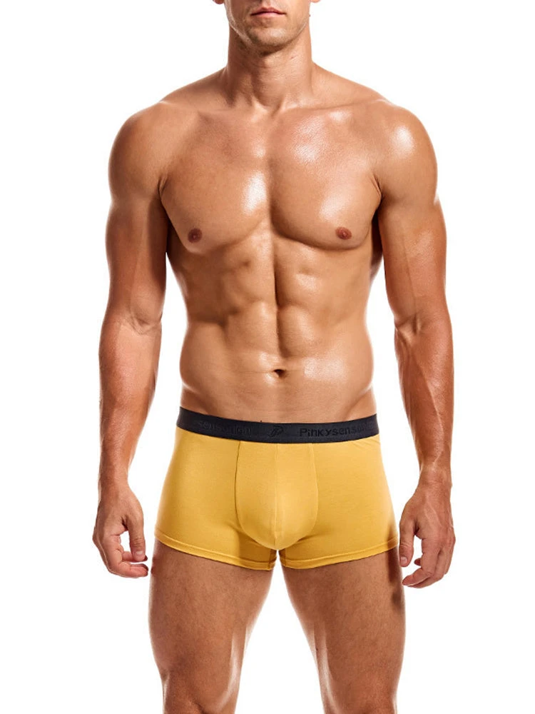 2 Pack Large Support Pouch Modal Men's Underwear(2 Pack Large Support Pouch Modal Mens Underwear) 1 2 Pack Large Support Pouch Modal Men's Underwear(2 Pack Large Support Pouch Modal Mens Underwear)