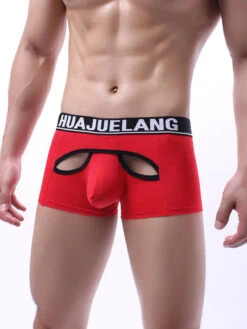 3 Pack Breathable Support Pouch Trunks(3 Pack Breathable Support Pouch Boxer Briefs) 22 3 Pack Breathable Support Pouch Trunks(3 Pack Breathable Support Pouch Boxer Briefs) -Mr Saker O1CN012ZiO9Y1x8KjF473mY 3371806398 0 cib