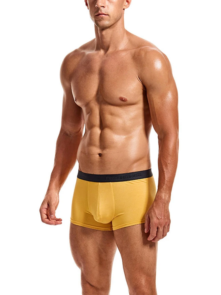 2 Pack Large Support Pouch Modal Men's Underwear(2 Pack Large Support Pouch Modal Mens Underwear) 2 2 Pack Large Support Pouch Modal Men's Underwear(2 Pack Large Support Pouch Modal Mens Underwear) - Image 2