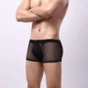 Men's Sexy Transparent Mesh Trunks(Mens Sexy Transparent Mesh Trunks)