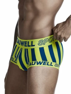 Mens Striped Support Pouch Boxer Briefs With Fly(Mens Striped Support Pouch Boxer Briefs With Fly) 35 Mens Striped Support Pouch Boxer Briefs With Fly(Mens Striped Support Pouch Boxer Briefs With Fly) -Mr Saker c061d4a5d92dcc16163f8aae384faa57