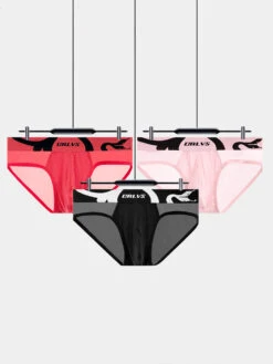 Men's Mesh Sport Briefs With Contoured Pouch & Ventilation(Mens Ice Silk Sheer Elegance Ultra Soft Modal Briefs)