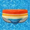 Men's Sexy Color Striped Swim Briefs(Mens Sexy Color Striped Swim Briefs)