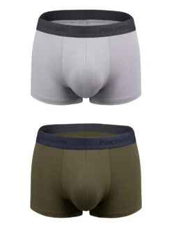 2 Pack Large Support Pouch Modal Men's Underwear(2 Pack Large Support Pouch Modal Mens Underwear) 36 2 Pack Large Support Pouch Modal Men's Underwear(2 Pack Large Support Pouch Modal Mens Underwear) -Mr Saker color1 baf49824 4c86 4842 bc10 0c3701f30937