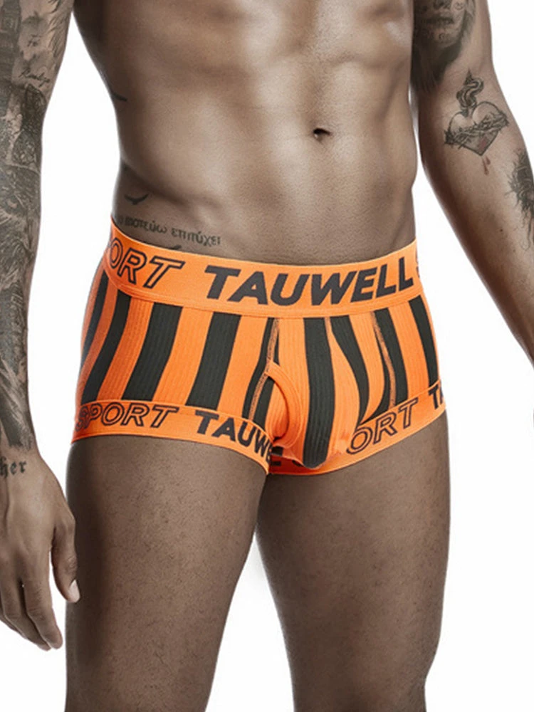 Mens Striped Support Pouch Boxer Briefs With Fly(Mens Striped Support Pouch Boxer Briefs With Fly) 2 Mens Striped Support Pouch Boxer Briefs With Fly(Mens Striped Support Pouch Boxer Briefs With Fly) - Image 2