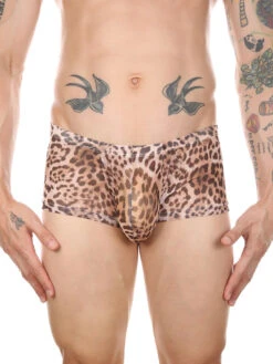 4 Pack Leopard Print See-through Mesh Trunks(4 Pack Leopard Print See Through Mesh Trunks)