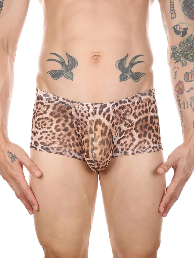 4 Pack Leopard Print See-through Mesh Trunks(4 Pack Leopard Print See Through Mesh Trunks) 1 4 Pack Leopard Print See-through Mesh Trunks(4 Pack Leopard Print See Through Mesh Trunks)