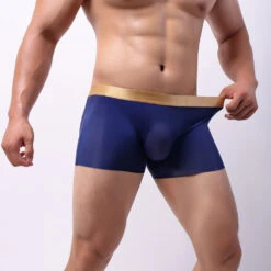 U Convex Pouch Seamless Boxer Briefs(U Convex Pouch Seamless Boxer Briefs) 22 U Convex Pouch Seamless Boxer Briefs(U Convex Pouch Seamless Boxer Briefs) -Mr Saker e1ebe4f06c6d46d6aad5a3cbb12f8712