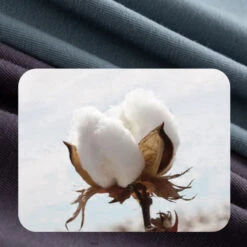 4Pcs Modal Pure Color Thin U Convex Boxer Briefs For Men(4pcs Modal Pure Color Thin U Convex Boxer Briefs For Men Mrsaker) 34 4Pcs Modal Pure Color Thin U Convex Boxer Briefs For Men(4pcs Modal Pure Color Thin U Convex Boxer Briefs For Men Mrsaker) -Mr Saker ee16fa6702cb6afe09a0f0463c71cf23 1d6e90a5 87ff 456a 92d0 fa62c9ee6d72