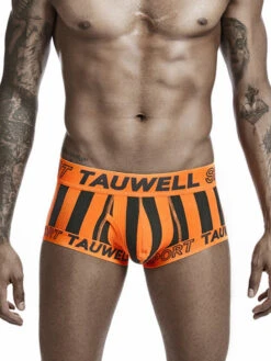 Mens Striped Support Pouch Boxer Briefs With Fly(Mens Striped Support Pouch Boxer Briefs With Fly) 38 Mens Striped Support Pouch Boxer Briefs With Fly(Mens Striped Support Pouch Boxer Briefs With Fly) -Mr Saker f75a6d3766943a9ece733c1e919a7601