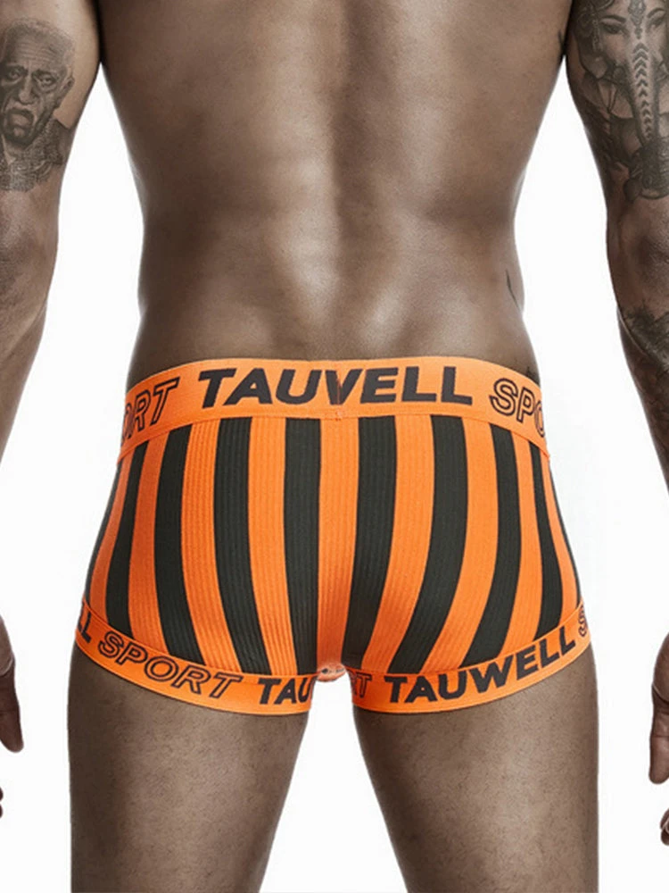 Mens Striped Support Pouch Boxer Briefs With Fly(Mens Striped Support Pouch Boxer Briefs With Fly) 5 Mens Striped Support Pouch Boxer Briefs With Fly(Mens Striped Support Pouch Boxer Briefs With Fly) - Image 5