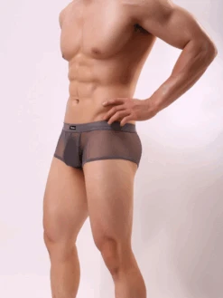 Men's Sexy Transparent Mesh Trunks(Mens Sexy Transparent Mesh Trunks) 35 Men's Sexy Transparent Mesh Trunks(Mens Sexy Transparent Mesh Trunks) -Mr Saker gfhfdgjfdgjhd