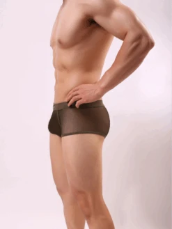 Men's Sexy Transparent Mesh Trunks(Mens Sexy Transparent Mesh Trunks) 37 Men's Sexy Transparent Mesh Trunks(Mens Sexy Transparent Mesh Trunks) -Mr Saker gfhgjgdhd