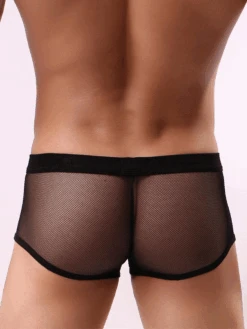 Men's Sexy Transparent Mesh Trunks(Mens Sexy Transparent Mesh Trunks) 22 Men's Sexy Transparent Mesh Trunks(Mens Sexy Transparent Mesh Trunks) -Mr Saker jkhkyhjkykhj