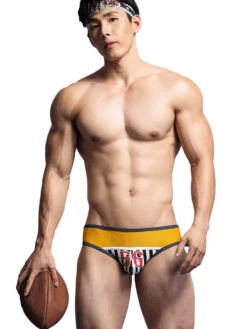 Men's Spliced Striped Mesh Pouch Briefs(Mens Spliced Striped Mesh Pouch Briefs) 26 Men's Spliced Striped Mesh Pouch Briefs(Mens Spliced Striped Mesh Pouch Briefs) -Mr Saker kjkhkhgkjk