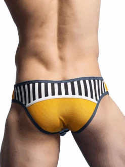 Men's Spliced Striped Mesh Pouch Briefs(Mens Spliced Striped Mesh Pouch Briefs) 30 Men's Spliced Striped Mesh Pouch Briefs(Mens Spliced Striped Mesh Pouch Briefs) -Mr Saker kjouili