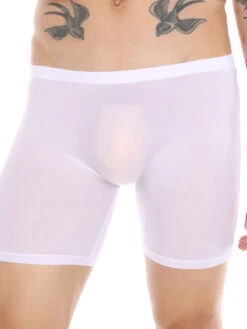 Men's Breathable Silky Seamless Boxer Briefs(Mens Ice Silk Athletic Mid Waist Boxer Briefs) 34 Men's Breathable Silky Seamless Boxer Briefs(Mens Ice Silk Athletic Mid Waist Boxer Briefs) -Mr Saker lQDPJx YjvYTnvvNBkDNBkCwQcmzjcQuYB4FmeCbvcfiAA 1600 1600