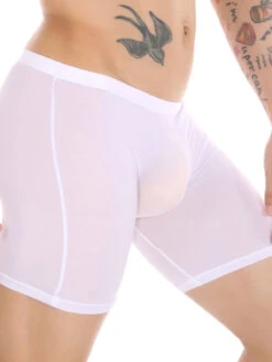 Men's Breathable Silky Seamless Boxer Briefs(Mens Ice Silk Athletic Mid Waist Boxer Briefs) 35 Men's Breathable Silky Seamless Boxer Briefs(Mens Ice Silk Athletic Mid Waist Boxer Briefs) -Mr Saker lQDPKHoqGkPor3vNBkDNBkCw0j CHZyaq2cFmeCY365ZAA 1600 1600