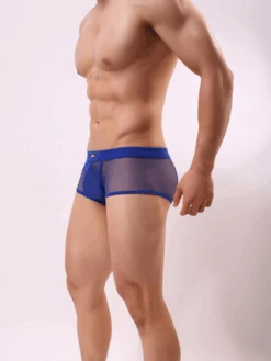 Men's Sexy Transparent Mesh Trunks(Mens Sexy Transparent Mesh Trunks) 33 Men's Sexy Transparent Mesh Trunks(Mens Sexy Transparent Mesh Trunks) -Mr Saker lk ik luilhg
