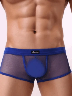 Men's Sexy Transparent Mesh Trunks(Mens Sexy Transparent Mesh Trunks) 31 Men's Sexy Transparent Mesh Trunks(Mens Sexy Transparent Mesh Trunks) -Mr Saker lk j hk hjk